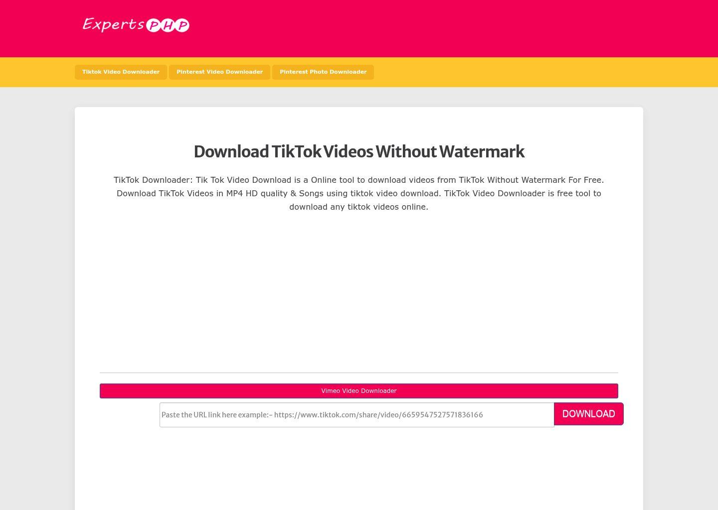 expertsphp tiktok downloader page