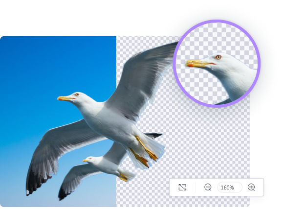 Zoom to erase image background in details