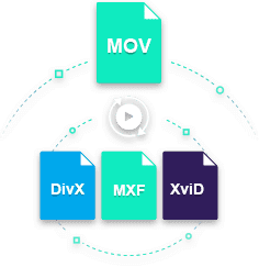xvid video codec to mp4 converter