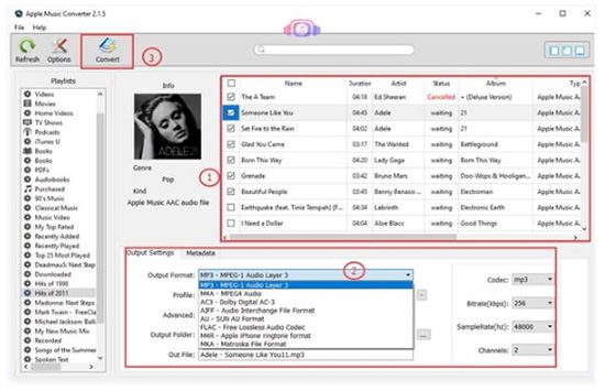 apple music converter with dvdfab